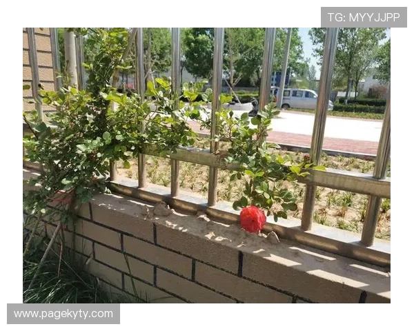 开云亚博:多平台整合策略与跨界合作带来的新机遇 开云亚博:多平台整合策略与跨界合作带来的新机遇