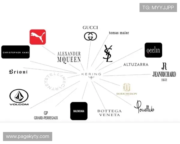 开云电子官网产品分类详解，满足不同客户的多样化电子需求