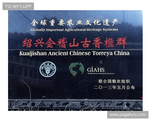 开云集团旗下品牌的产品线覆盖范围及其品牌文化介绍