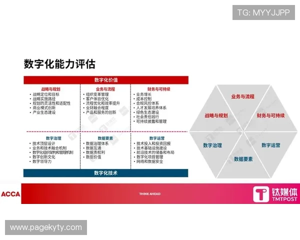 开云中国业务在数字化转型中的关键举措与成效分析
